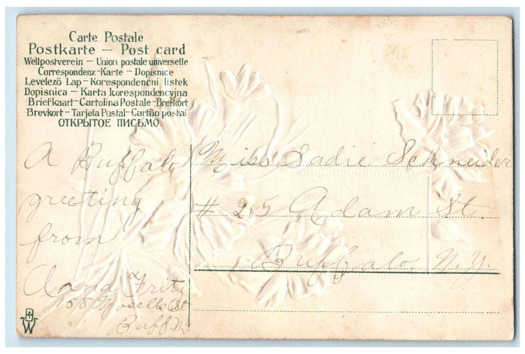 c1910 Flowers Greetings from Buffalo New York NY Embossed Glitter Postcard