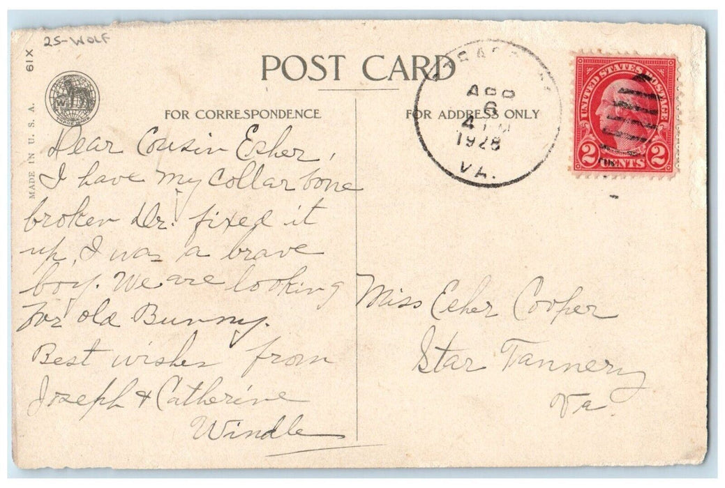 1928 Easter Wishes Boy Big Hat White Lily Flowers In Pot Wolf Antique Postcard
