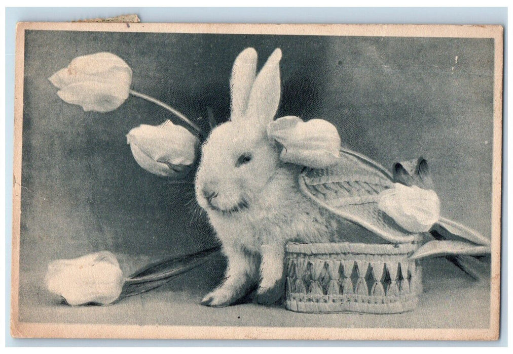 1911 Easter Rabbit Basket Flowers Strasburg Virginia VA Posted Antique Postcard