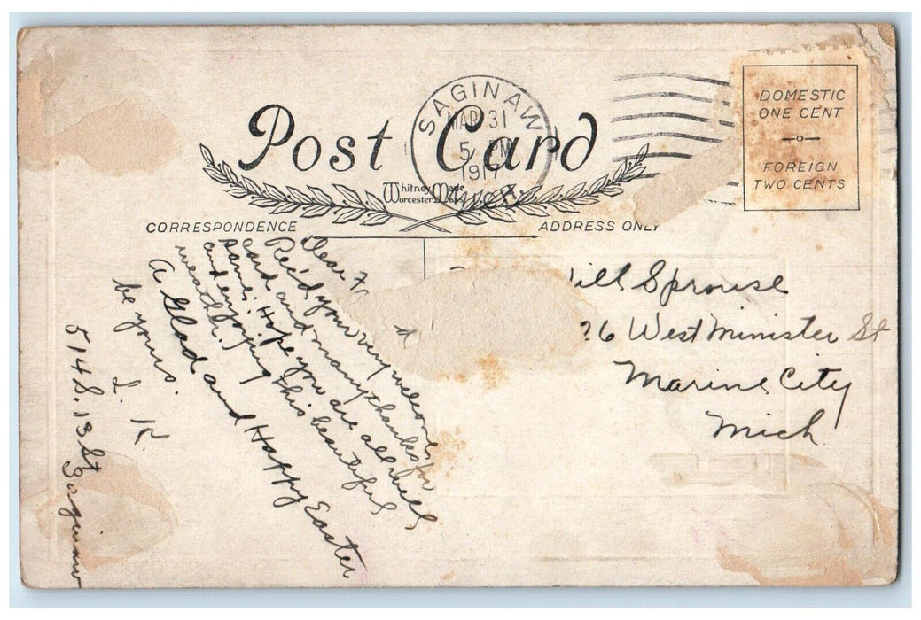 1917 Easter Little Boy And Bunny Rabbit Playing Flowers Saginaw MI Postcard