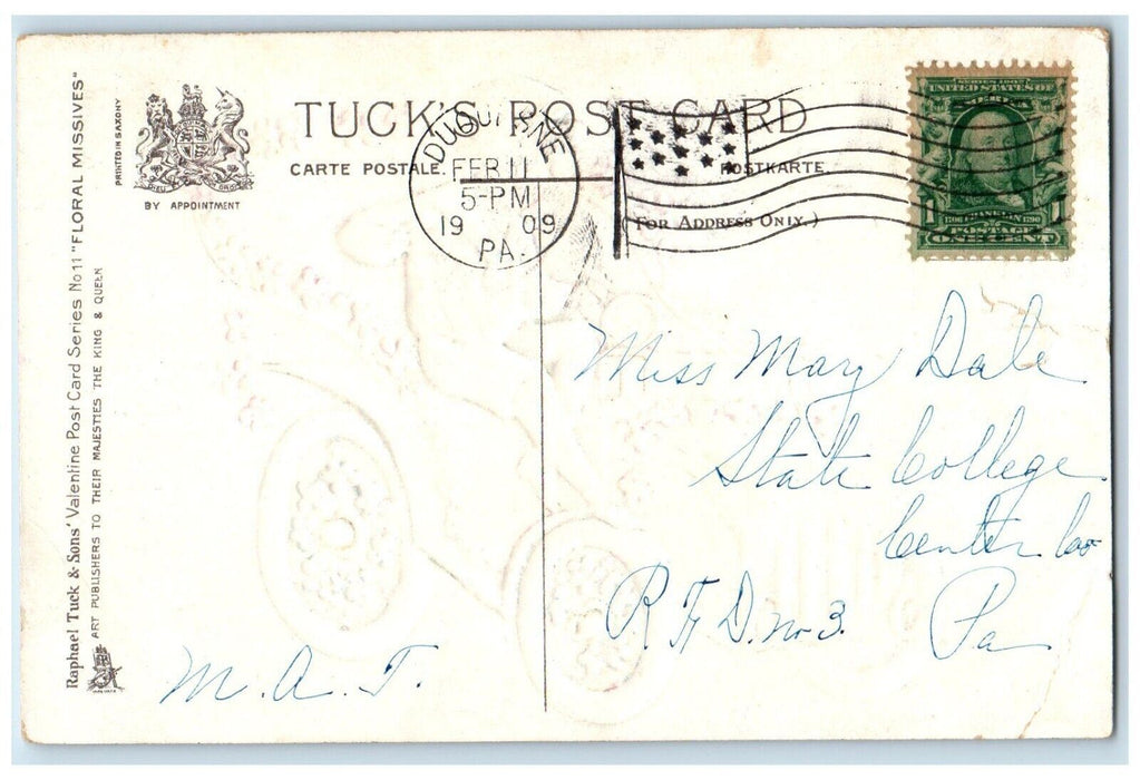 1909 Valentine Boy Driving Car Pansies Flowers Birds Embossed Tuck's Postcard