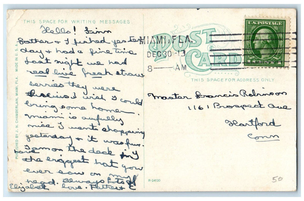 1913 Whip Ray Window View Miami Florida FL Posted Antique Postcard