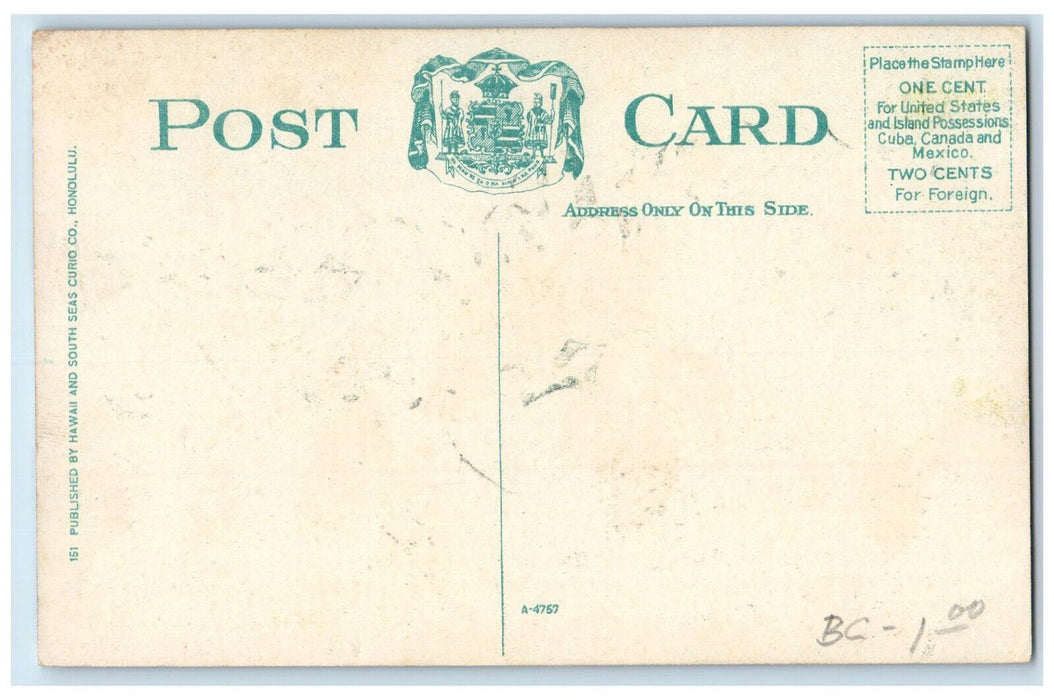 c1910 A Cluster of Cocoanuts Tree Hawaii HI Posted Antique Postcard