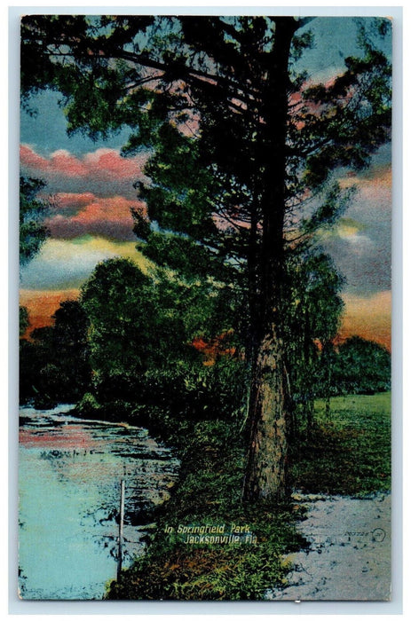 c1905 In Springfield Park Jacksonville Florida FL Unposted Antique Postcard