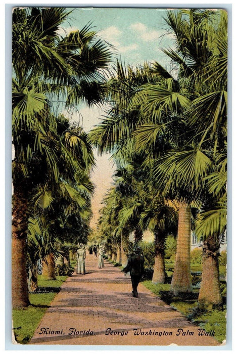 1914 George Washington Palm Walk Miami Florida FL Antique Posted Postcard