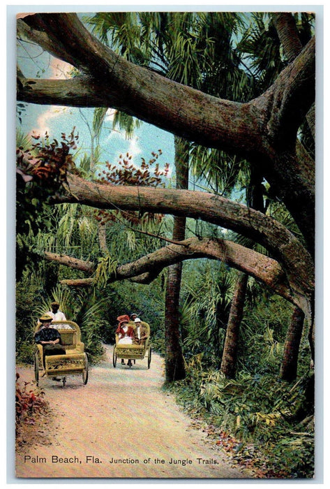 c1910 Three Wheeled Chair Vehicle Jungle Trails Palm Beach Florida FL Postcard