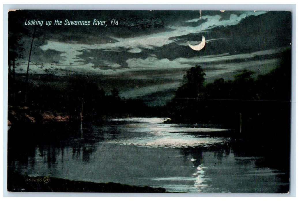 c1910 Half Moonlight Looking Up The Suwannee River Florida FL Unposted Postcard