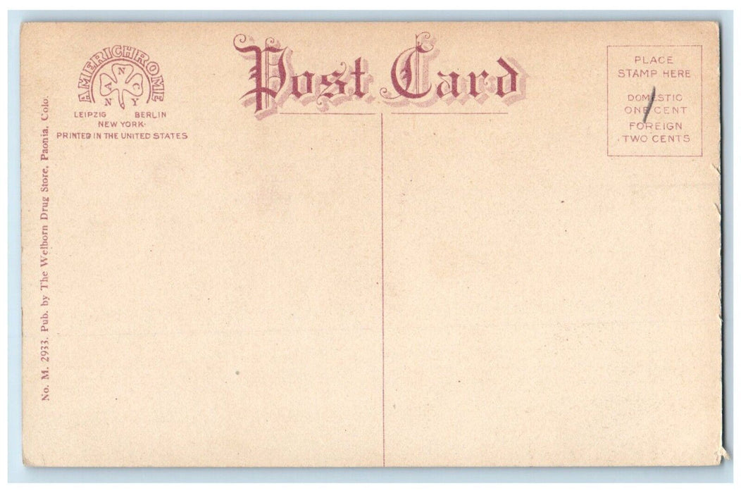 c1910's Hubbard Water Falls Nature View Near Paonia Colorado CO Antique Postcard