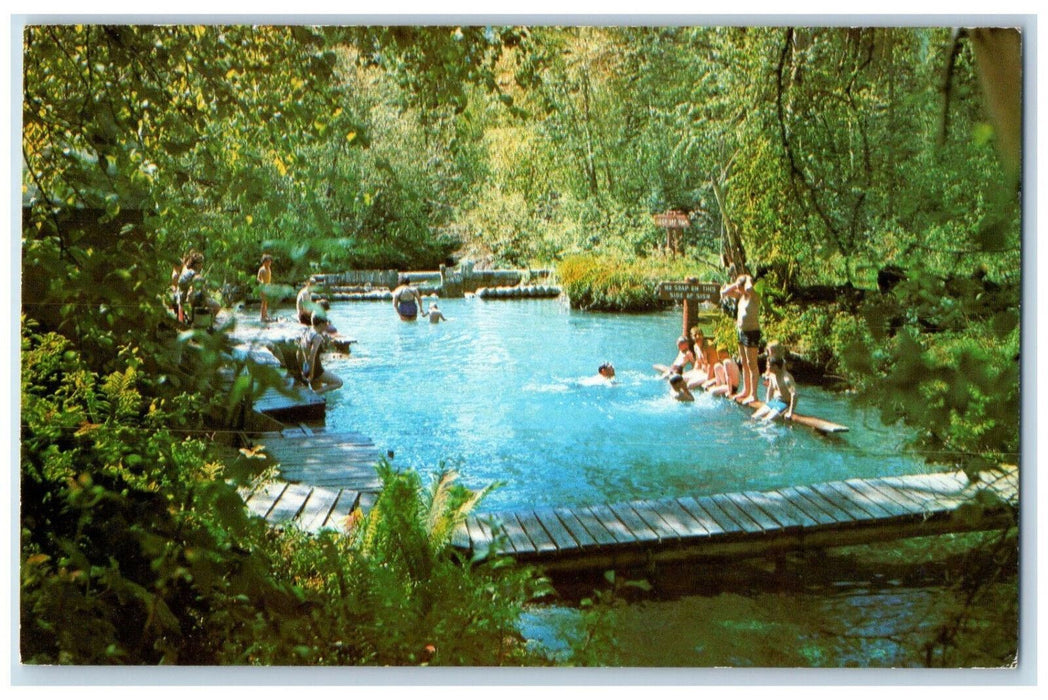 c1960's Liard Hot Springs Alaska Highway Swimming Pools Camping Picnic Postcard