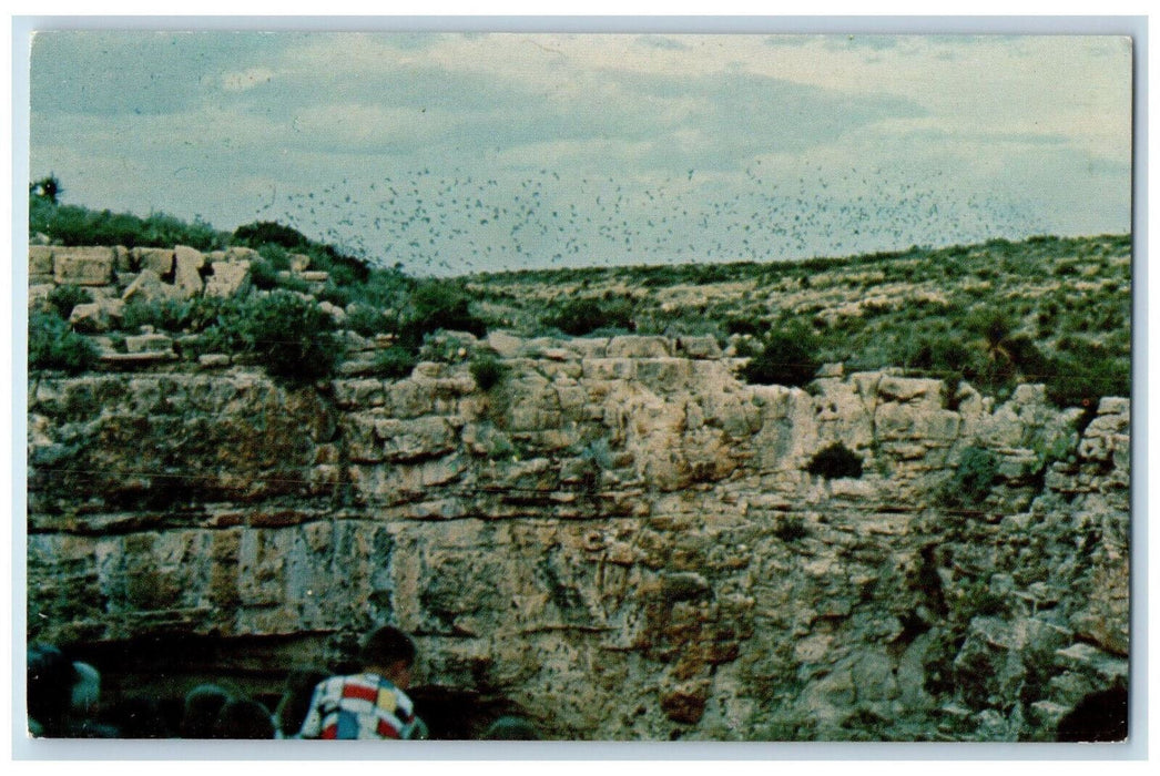 c1950's Bat Flight Carlsbad Cavern New Mexico NM Vintage Unposted Postcard