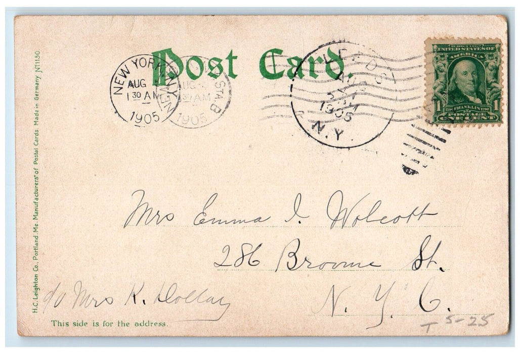 1905 Catskill Mountains Greens Lake Shore Forest New York NY Posted Postcard