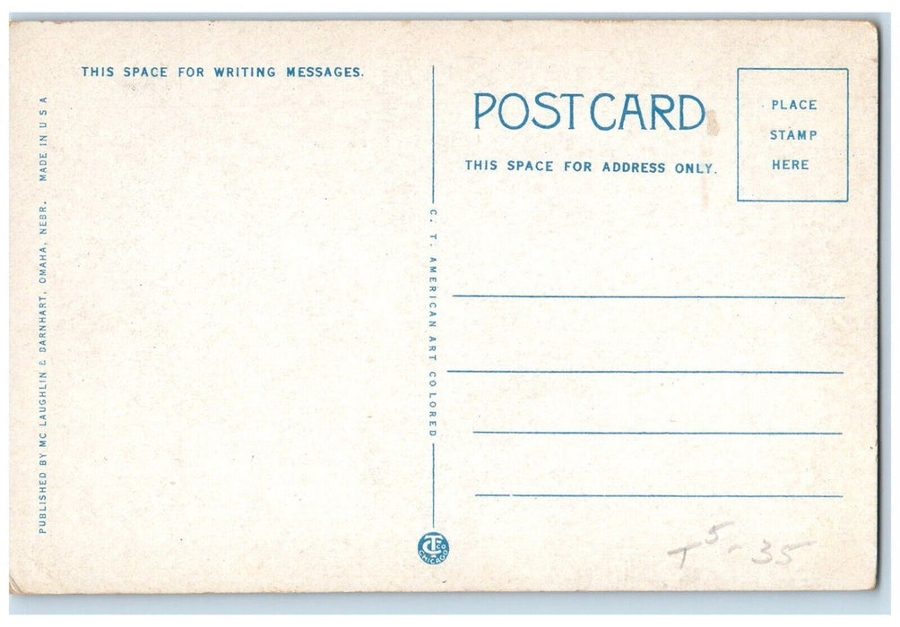 c1920's Trinity Cathedral Stained Glass Omaha Nebraska NE Unposted Postcard