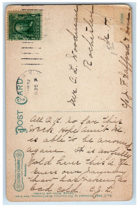 c1910's Hotel Champlain Horse Buggy Bluff Point New York NY Posted Postcard