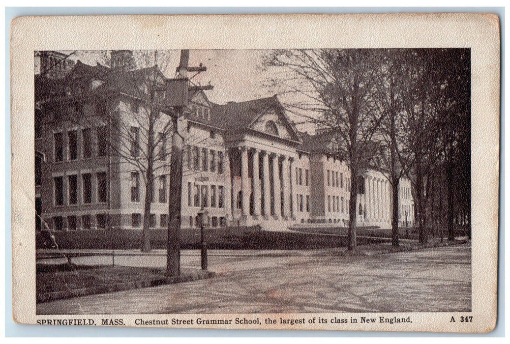 c1920's Chestnut Street Grammar School New England Springfield MA Postcard