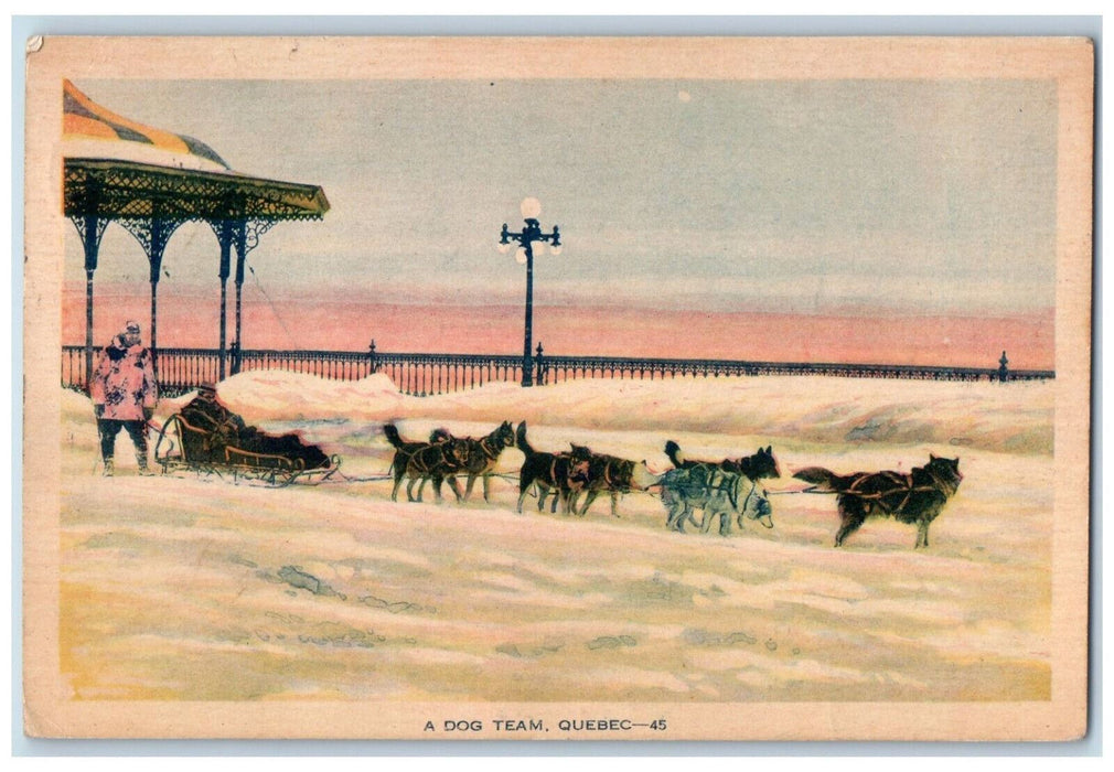 c1940's Snowy Scene Bandstand A Dog Team Sled Quebec Canada Vintage Postcard