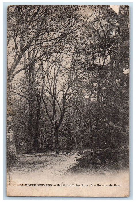 c1910 Un Coin De Parc La Motte Beuvron Sanatorium Des Pins France Postcard