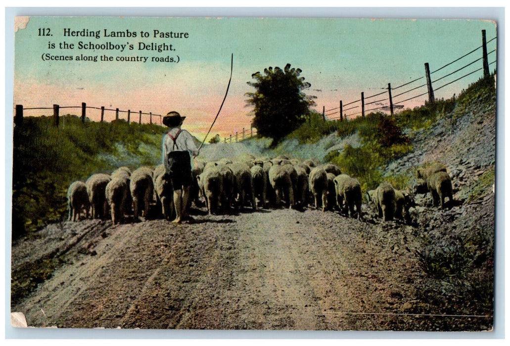 1913 Herding Lambs to Pasture is Schoolboy's Delight Rhode Island RI Postcard