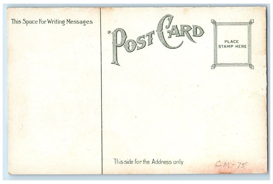 c1910 Entrance View Millicent Library Fairhaven Massachusetts MA Postcard
