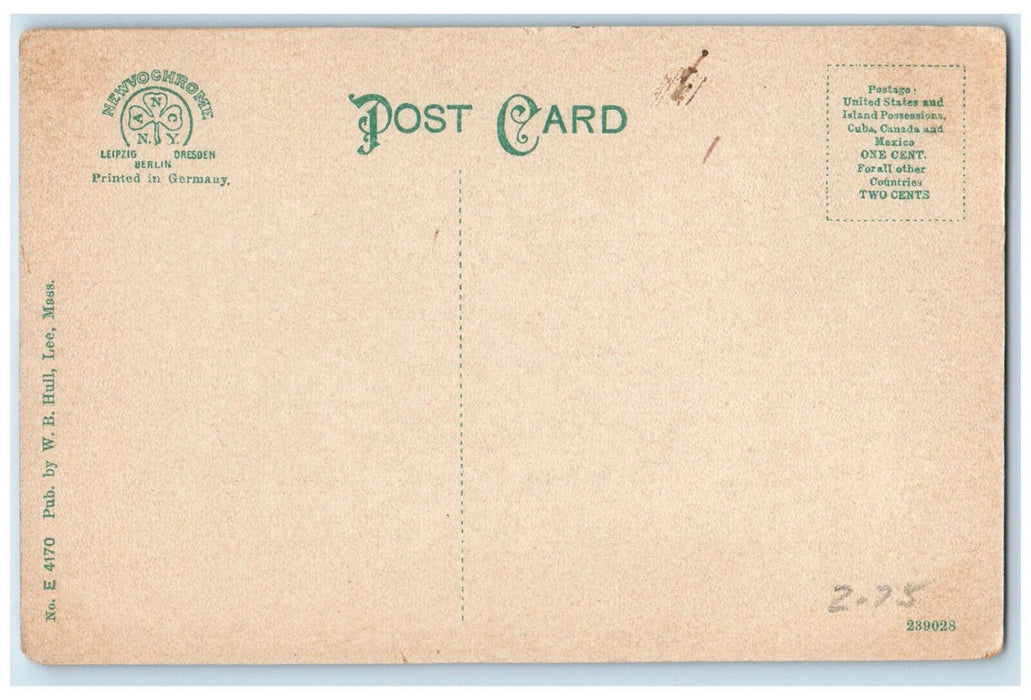 c1910 Entrance to Lee Library Lee Massachusetts MA Antique Unposted Postcard