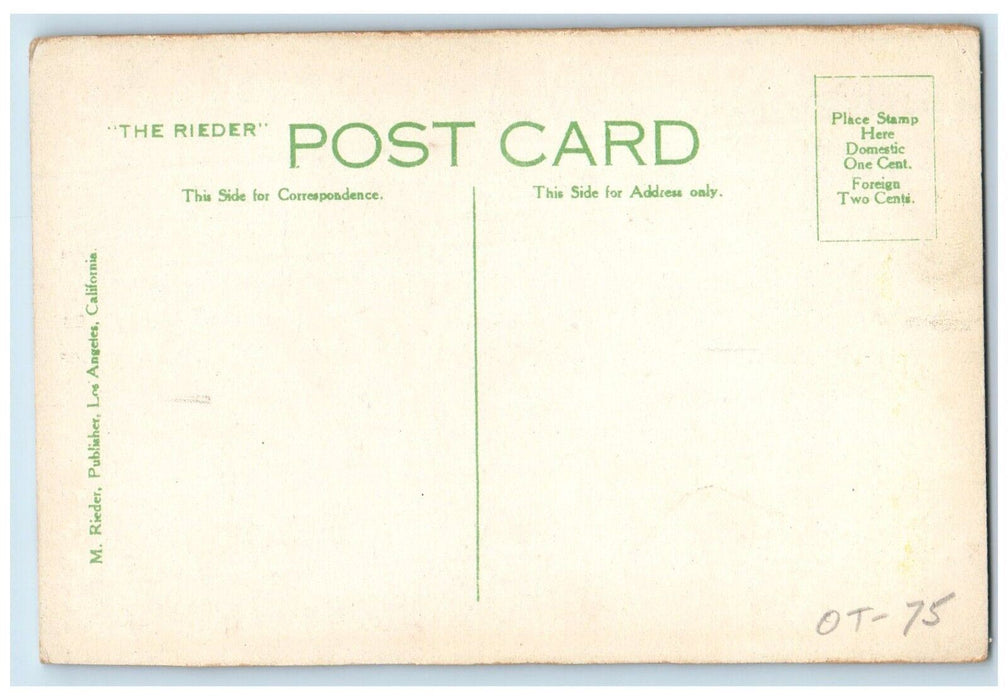 c1910's Metropole Hotel The Rieder Catalina Island California CA Postcard