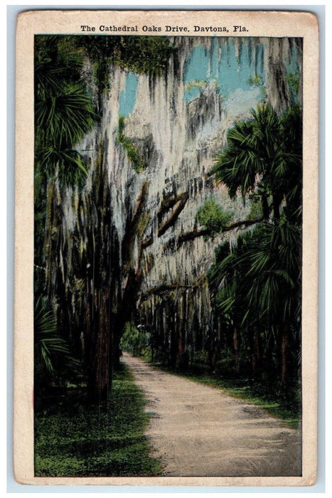 c1910's The Cathedral Oaks Drive Daytona Florida FL Unposted Postcard