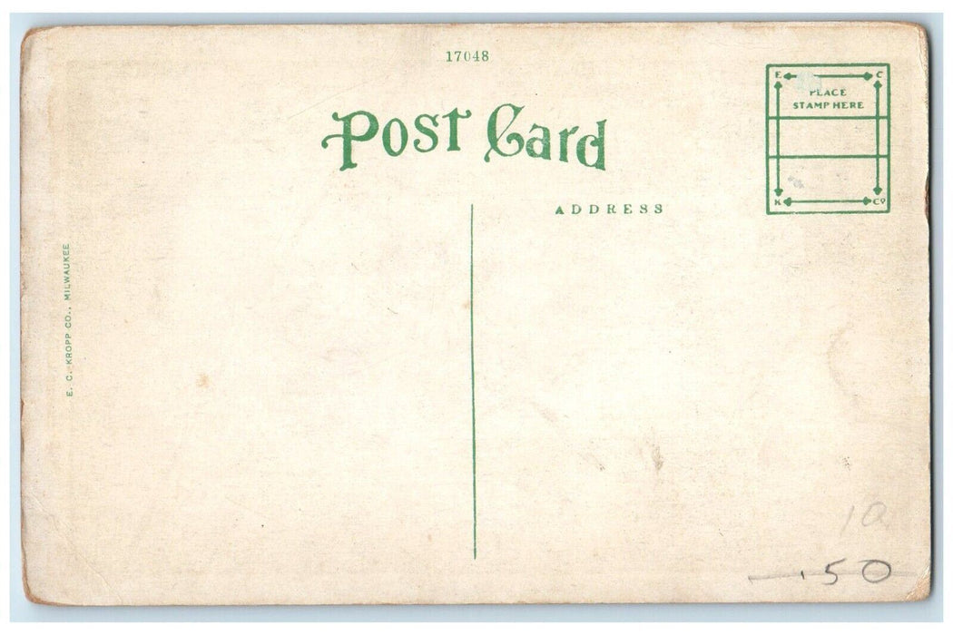 c1910's The Cathedral Oaks Drive Daytona Florida FL Unposted Postcard