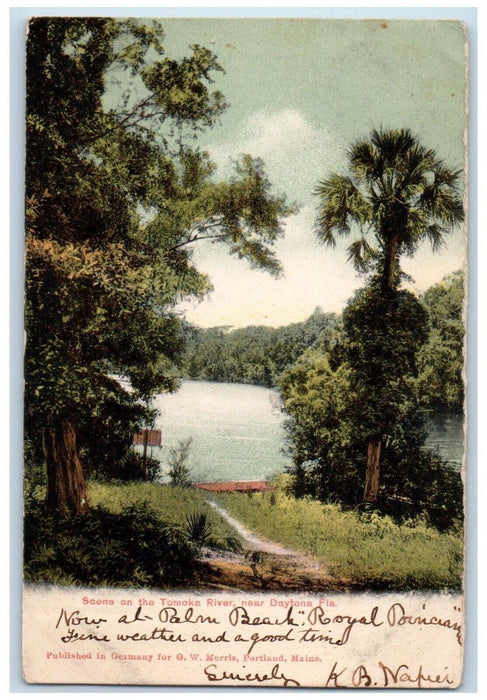 1906 Scene On The Tomoka River Boat Dock Daytona Florida FL Posted Postcard