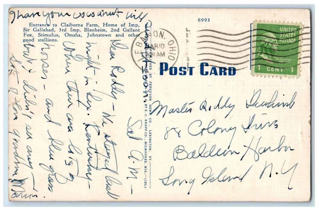 c1950's Multiview Horses Mares Foals Clairborn Farm Near Lexington KY Postcard
