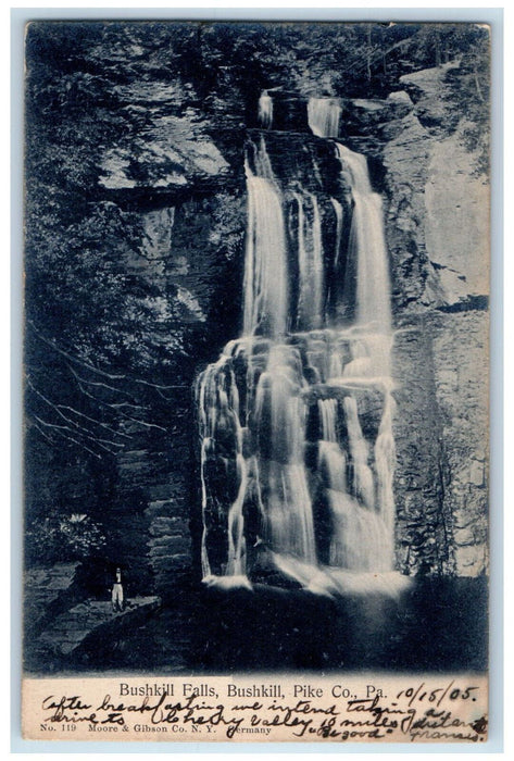 1905 Bushkill Falls Bushkill Pike Co. Pennsylvania PA Antique Postcard