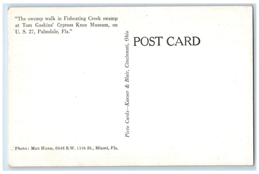 c1950's The Swamp Walk in Fisheating Creek Palmdale Florida FL Postcard