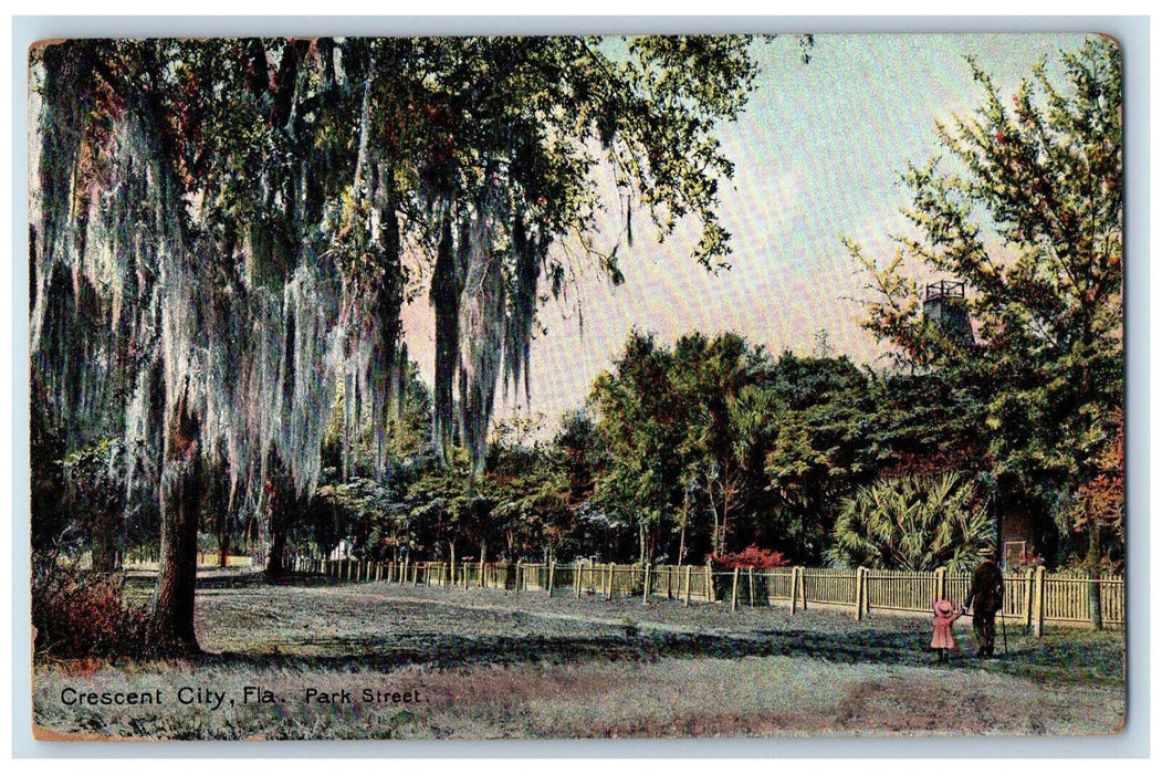 1907 Walking Scene Park Street Crescent City Florida FL Antique Posted Postcard