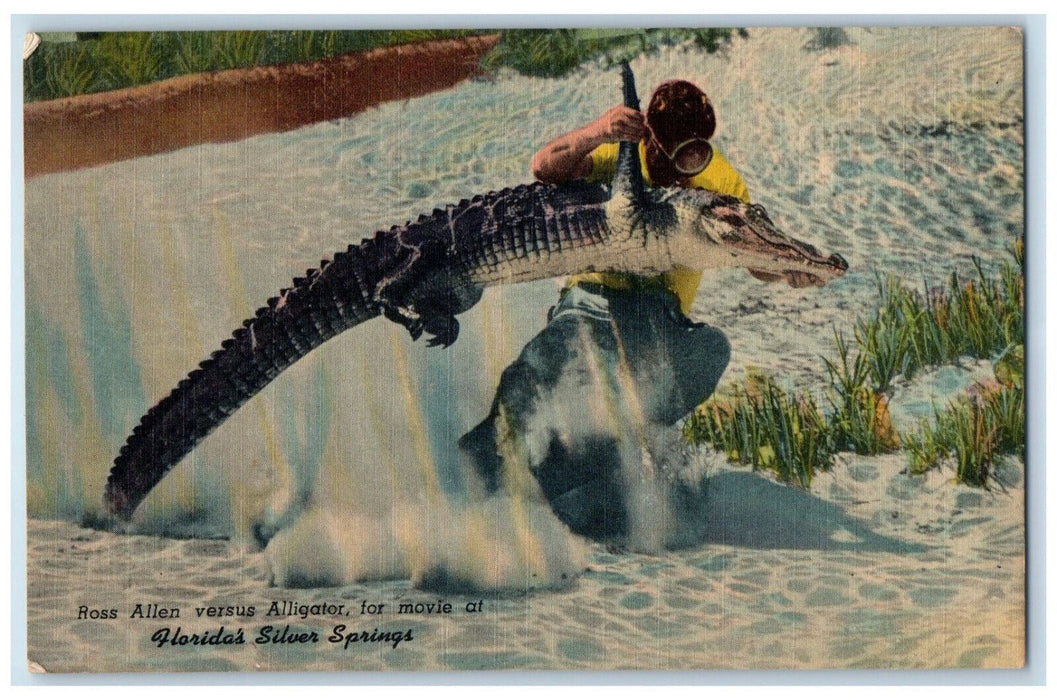 c1950's Ross Allen Versus Alligator For Movie Florida's Silver Springs Postcard