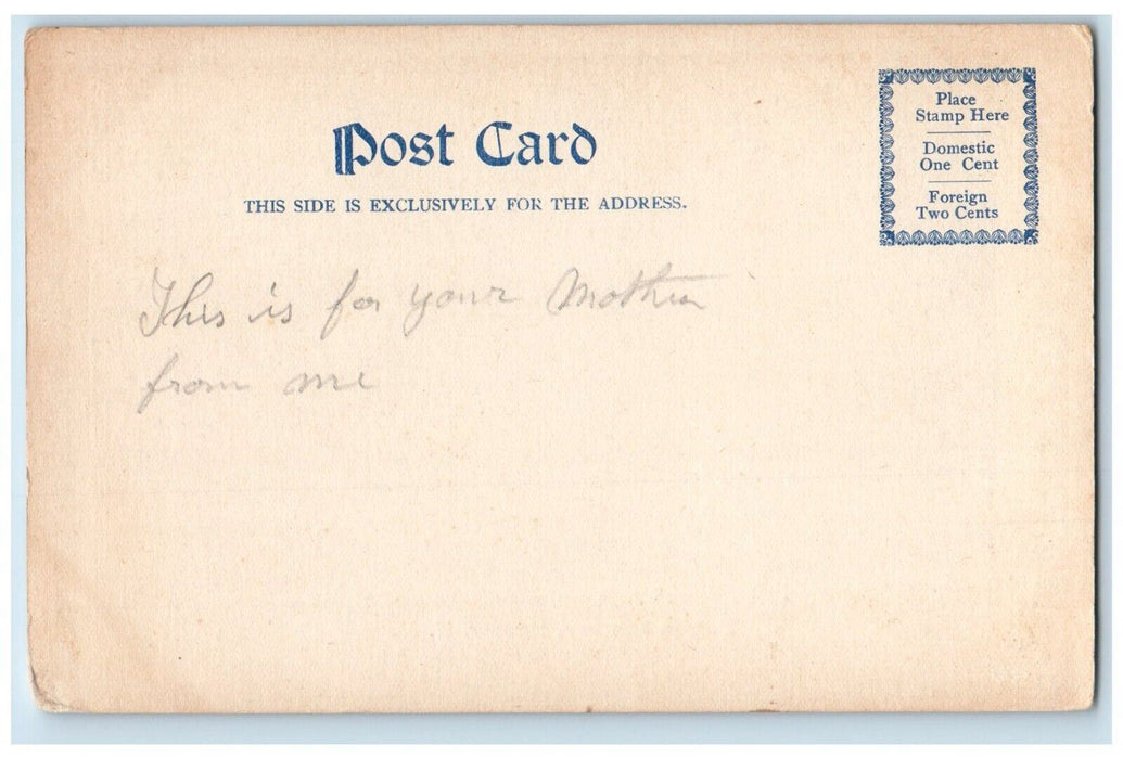 c1905 View OF Public Library Exeter New Hampshire NH Antique Unposted Postcard