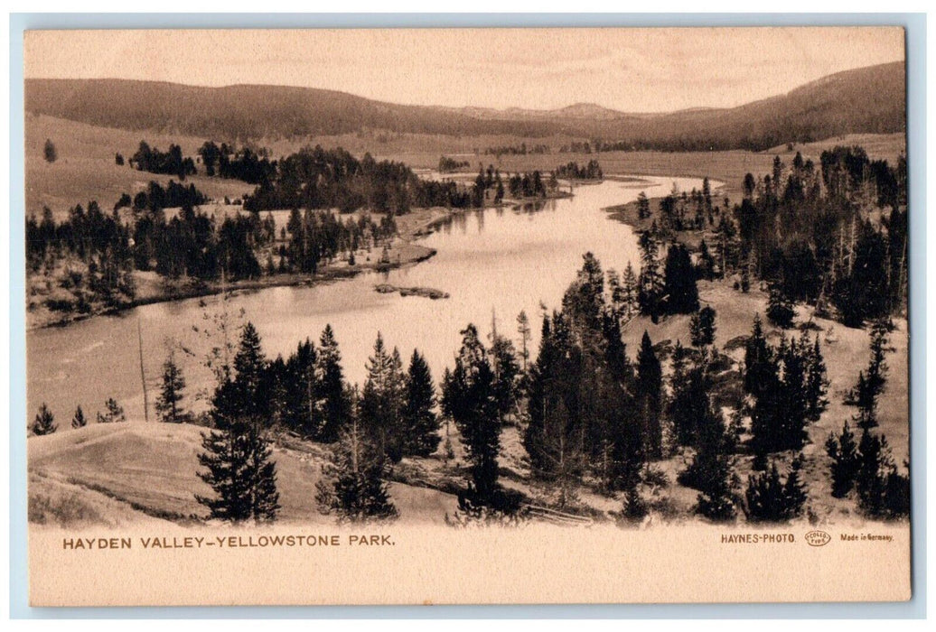 c1905 Hayden Valley Yellowstone Park National Park Wyoming WY Haynes Postcard