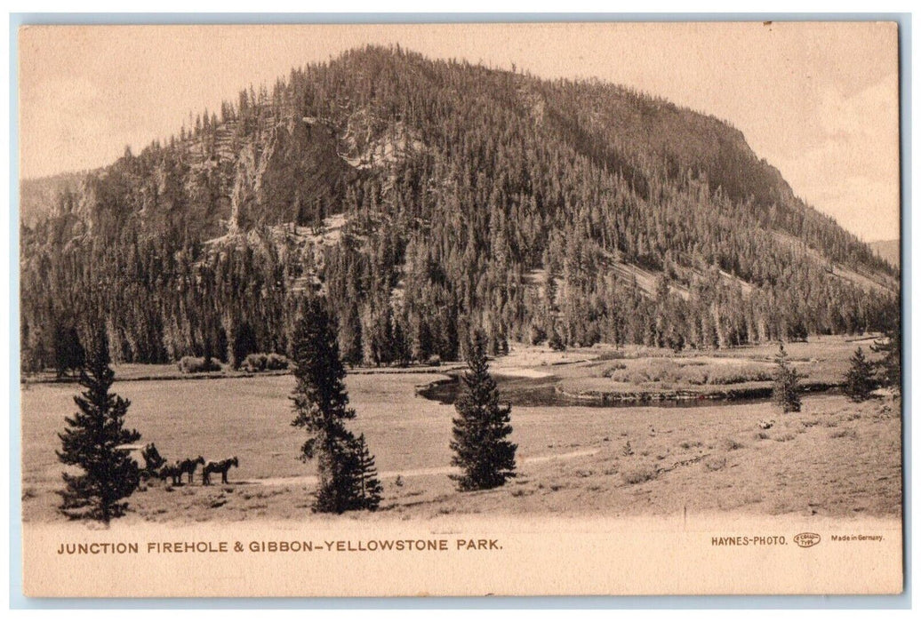c1905 Junction Firehole & Gibbon Yellowstone Park Wyoming WY Postcard