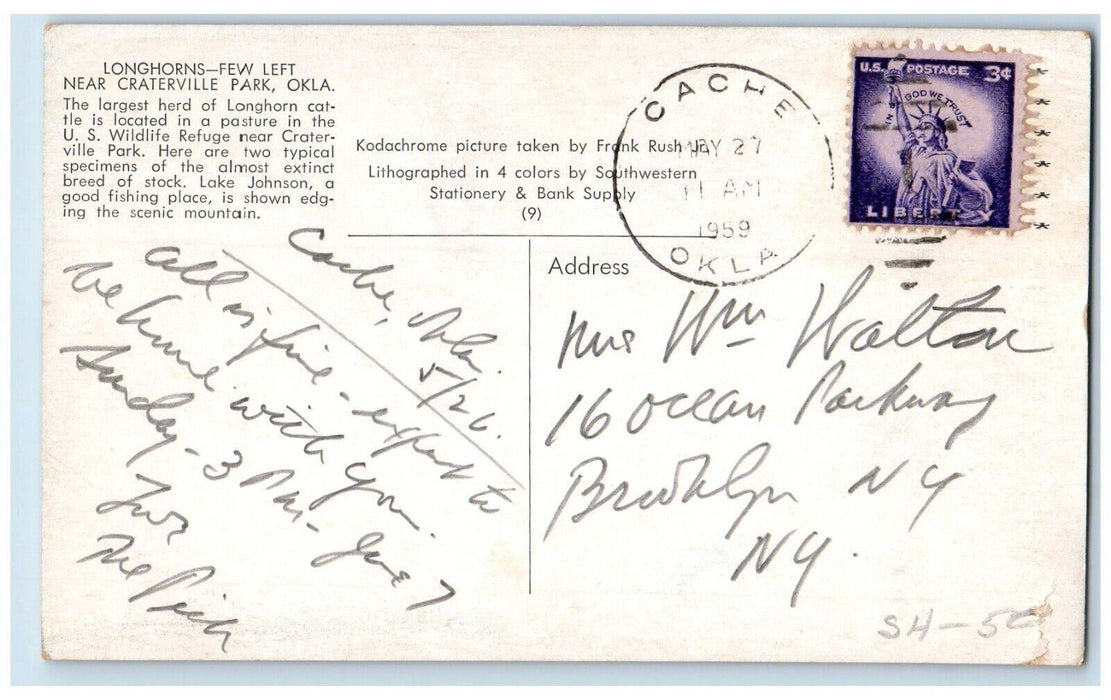 1959 Longhorns Few Left Near Craterville Park OK Cache Oklahoma OK Postcard