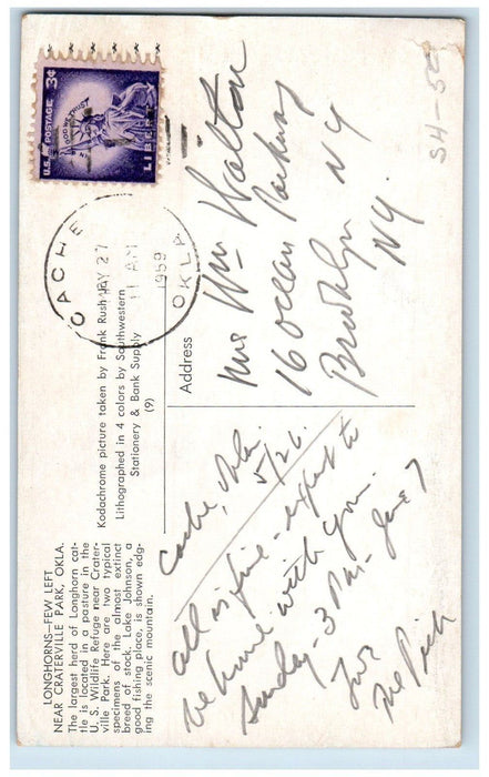 1959 Longhorns Few Left Near Craterville Park OK Cache Oklahoma OK Postcard