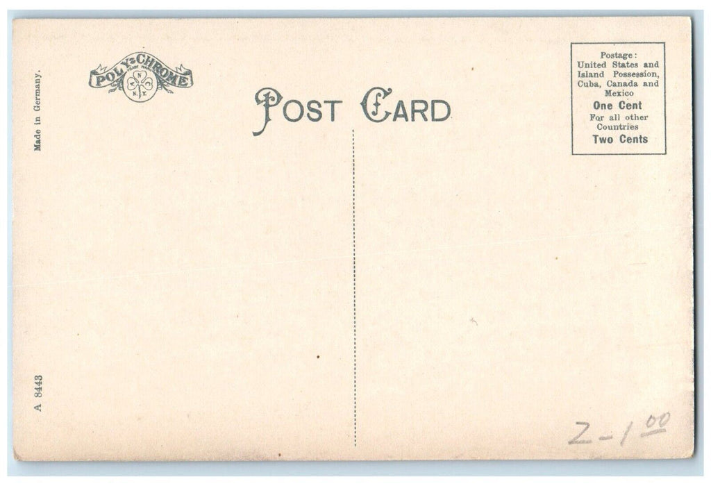 c1910 Curtis Hotel Building Road Lenox Massachusetts Vintage Antique Postcard