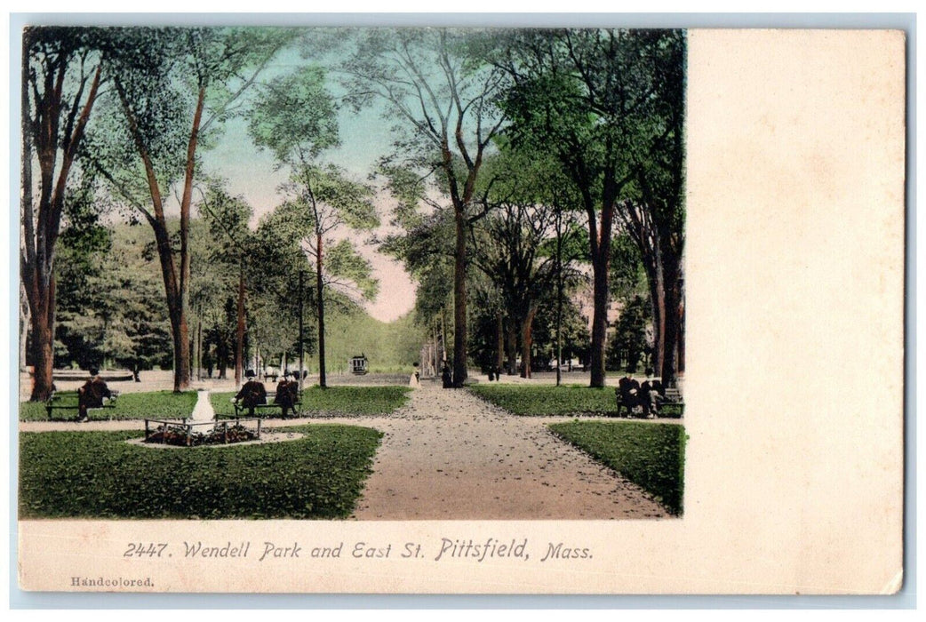 c1905 Wendell Park East St Pittsfield Massachusetts MA Vintage Antique Postcard