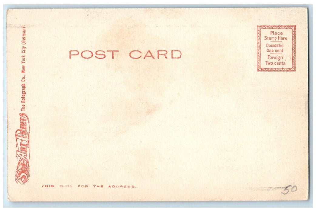 c1905 Wendell Park East St Pittsfield Massachusetts MA Vintage Antique Postcard