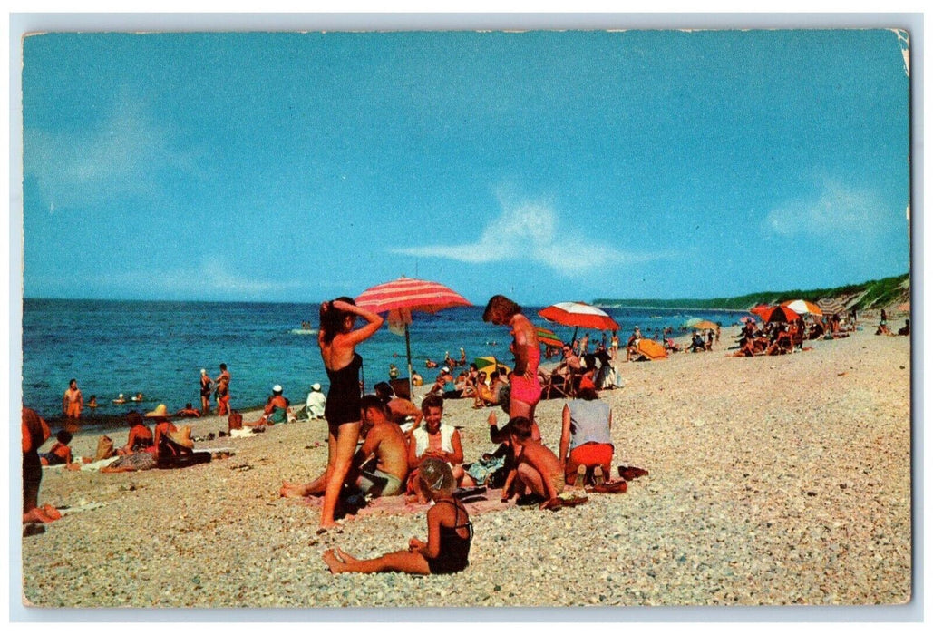 c1950's Long Island Vacation Playground Sun Swept Sand Sea Shells NY Postcard