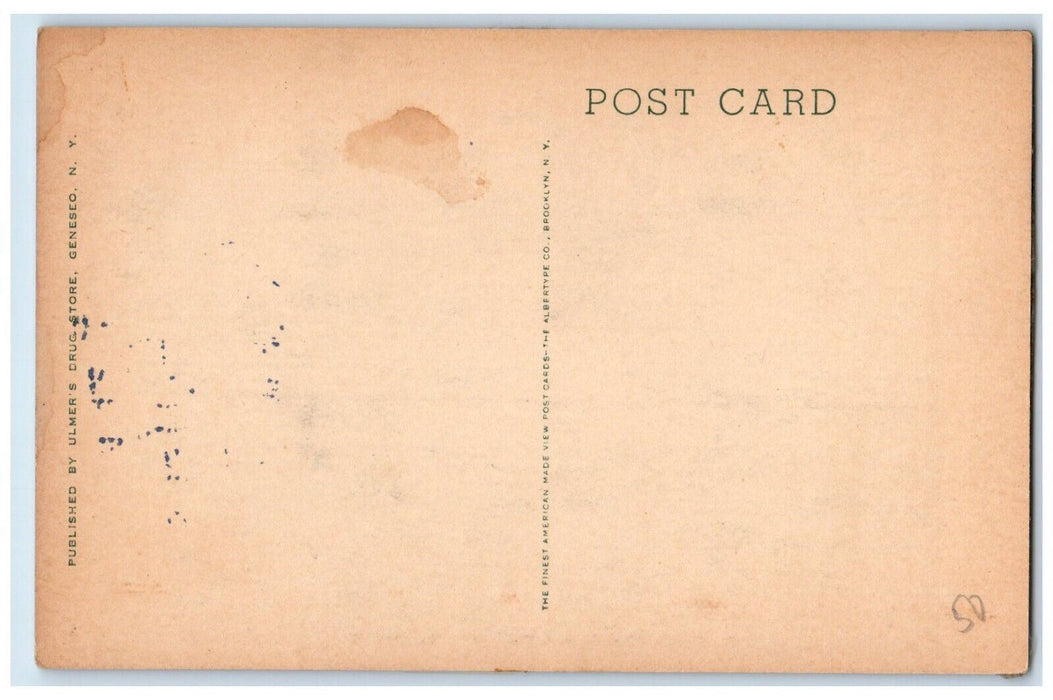 c1920's St. Mary's Church and Rectory Geneseo New York NY Unposted Postcard