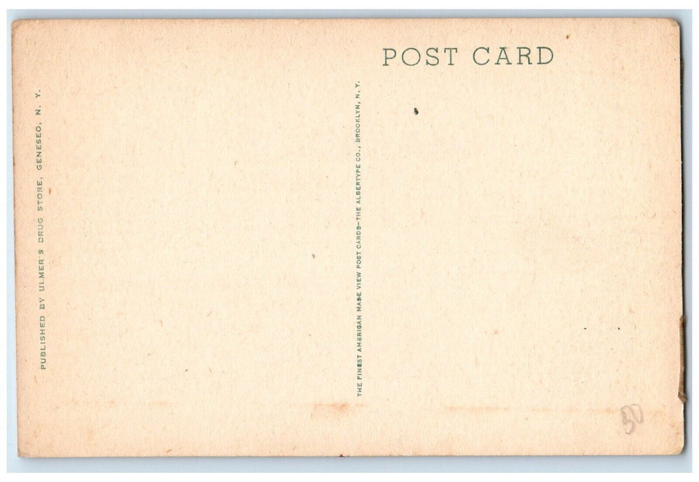 c1920's US Flag Geneseo High School Geneseo New York NY Unposted Postcard