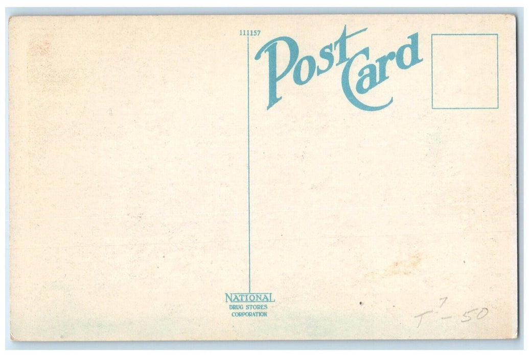 c1910 Home for Aged Women Exterior Street Road Pittsfield Massachusetts Postcard