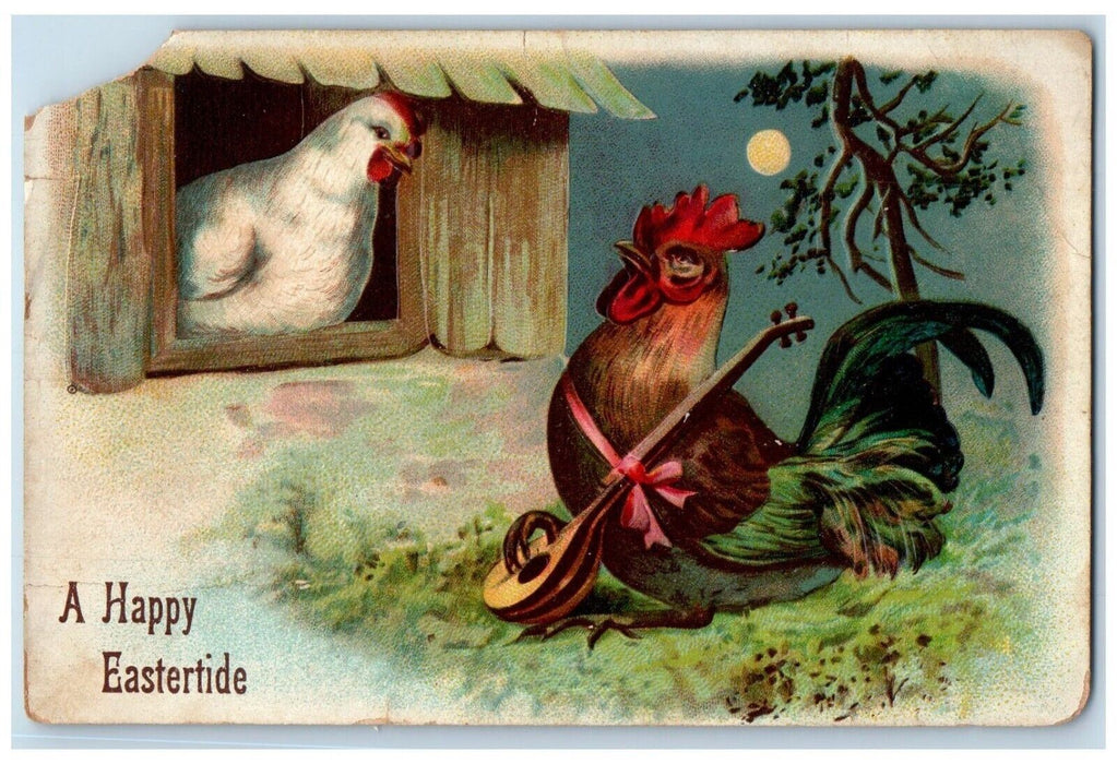 c1910's Easter Anthropomorphic Rooster Chicken Serenade Embossed Posted Postcard