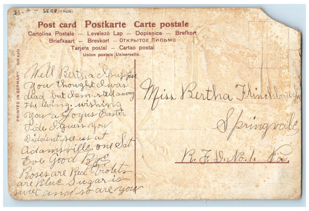 c1910's Easter Anthropomorphic Rooster Chicken Serenade Embossed Posted Postcard