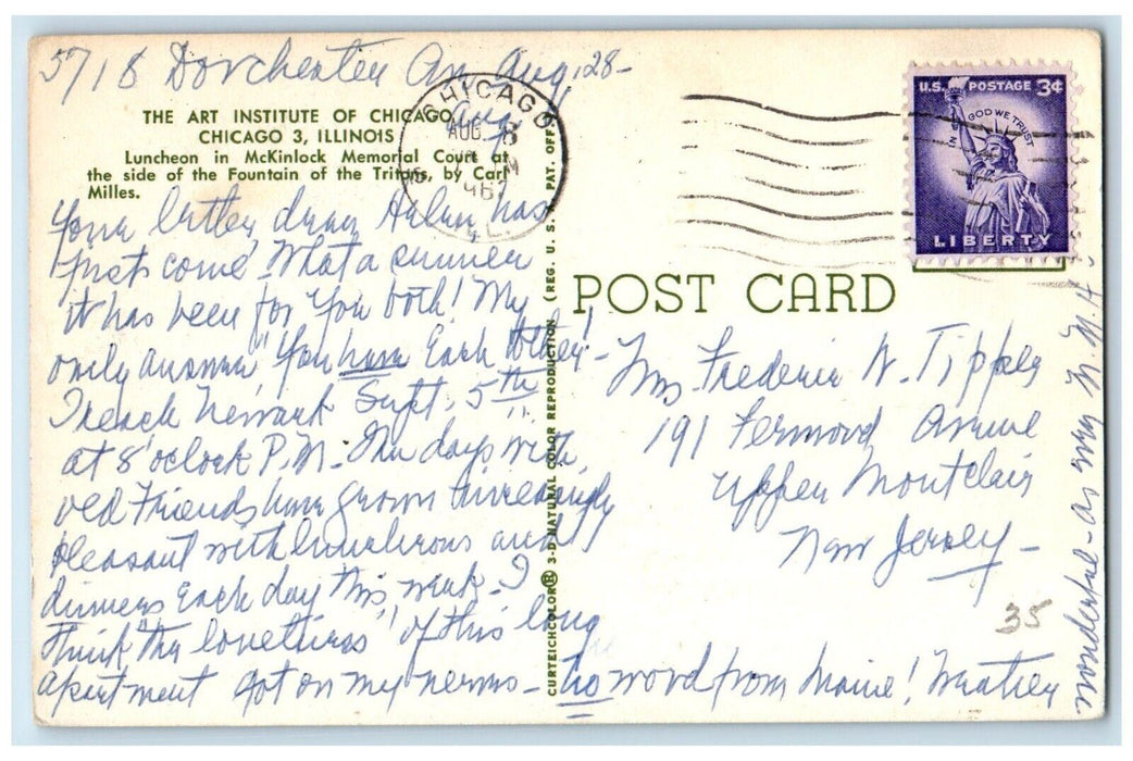 View Of The Art Institute Of Chicago Water Foutain Illinois IL Vintage Postcard