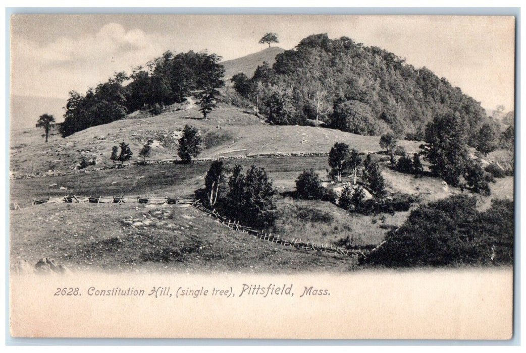 c1905 Constitution Hill Single Tree Mountain Pittsfield Massachusetts Postcard