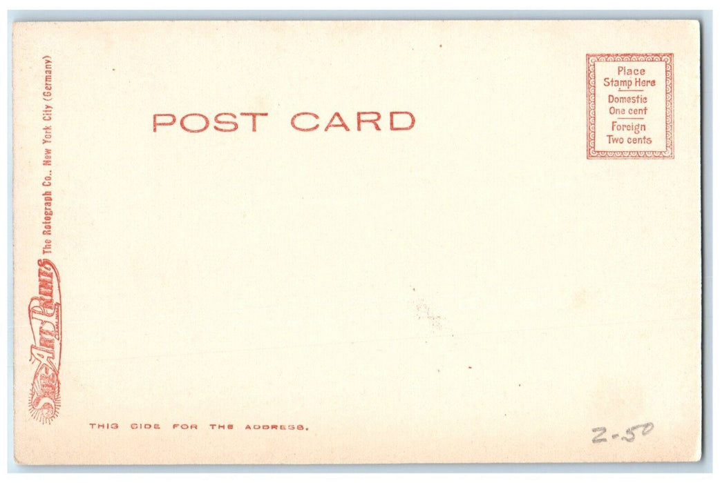 c1905 Constitution Hill Single Tree Mountain Pittsfield Massachusetts Postcard