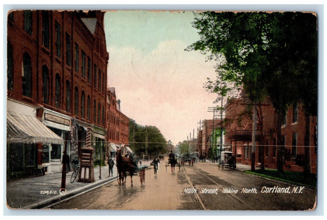 1912 Horse Carriage Main Street Looking North Cortland New York NY Postcard